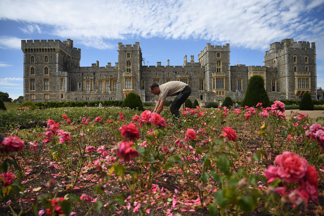 "El primer jardín construido aquí fue creado en 1824 durante el reinado de George IV. Pero antes de eso, en la Edad Media, habría sido la zanja defensiva", cuenta Richard Williams, operario en el Castillo de Windsor. 