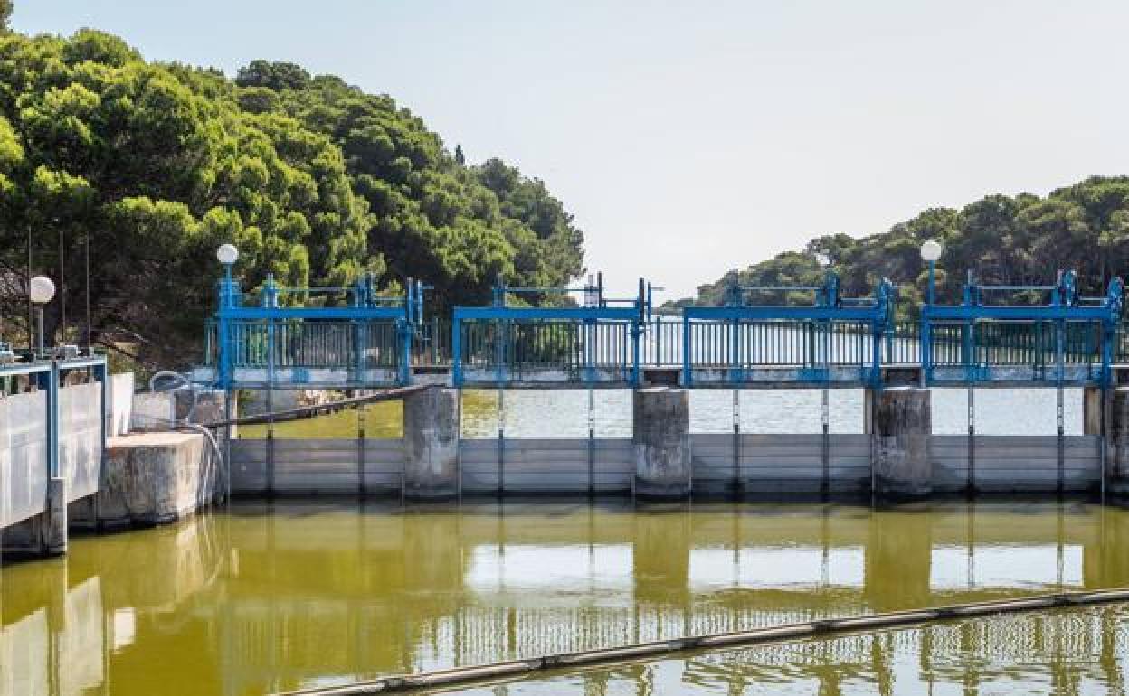 Ribó aboga por cambiar la hora de desagüe de la Albufera