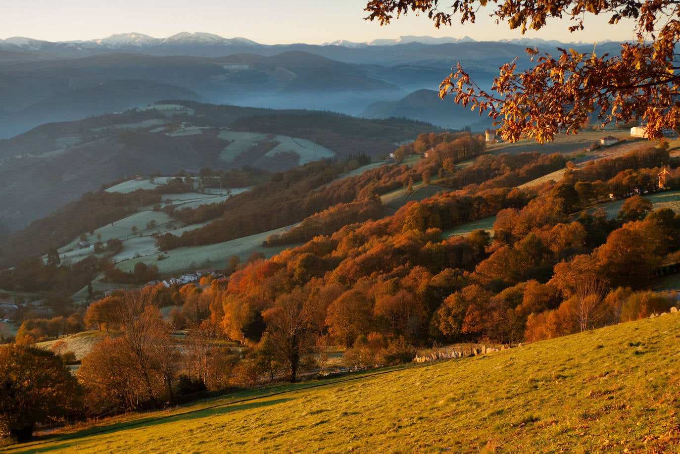 Tineo, Asturias. 