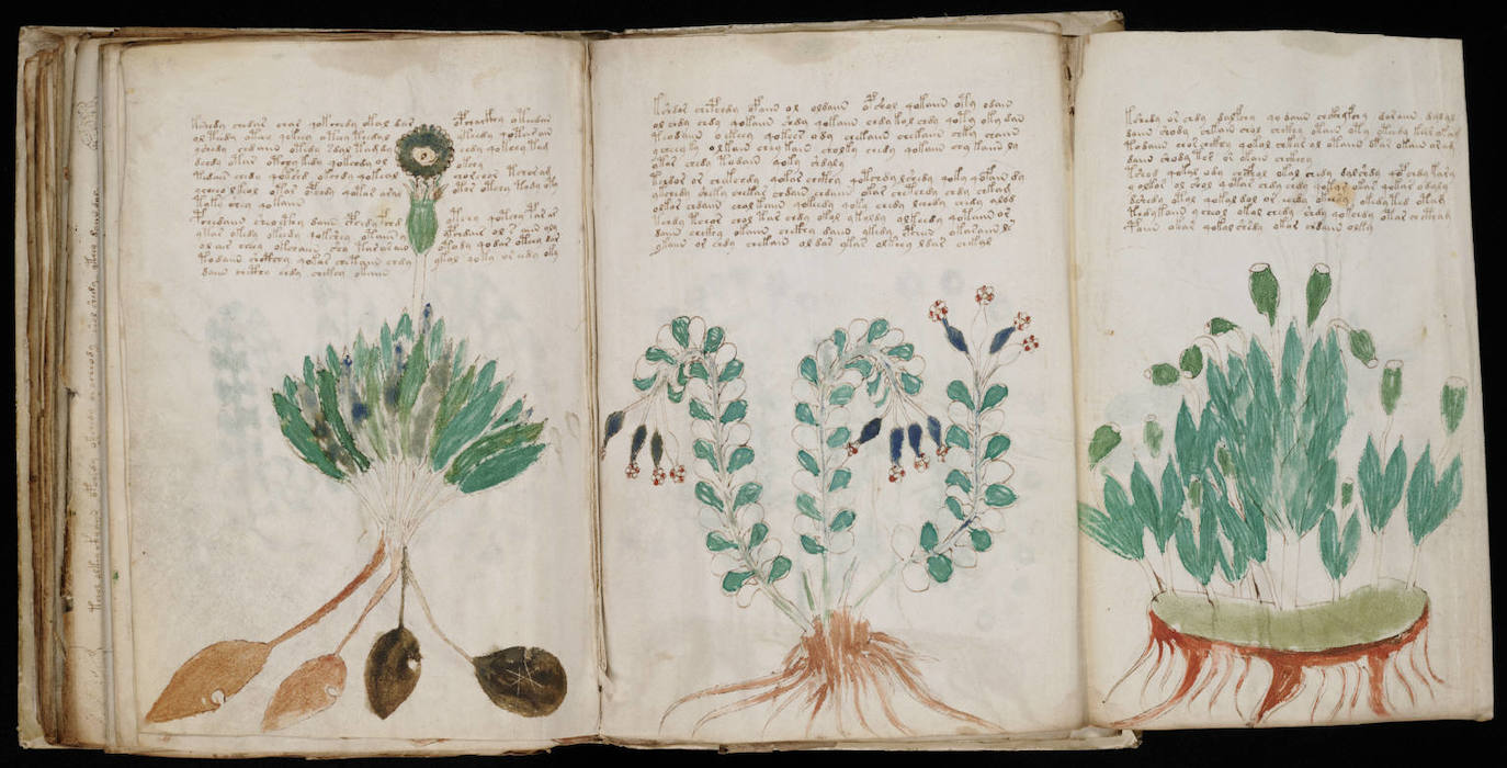 'Manuscrito de Voynich' | Todas las hipótesis están abiertas en torno al 'Manuscrito de Voynich', un curioso volumen escrito con la pluma de un ave, en una extraña lengua, hace unos 500 años. Podría ser un libro perteneciente a una organización secreta medieval, de una cultura alienígena o, simplemente, un fraude. Lo que sí es cierto es que nadie ha podido descifrarlo aún.