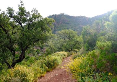 Imagen secundaria 1 - Fuente del Camino de Olla y senda hacia el Gorgo. 