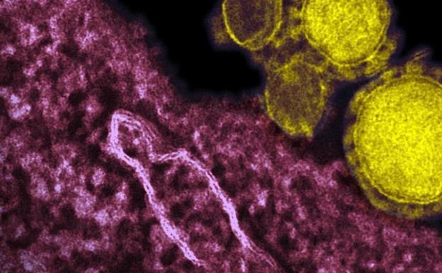 Encuentran coronavirus «viable» en el aire a cinco metros de un paciente