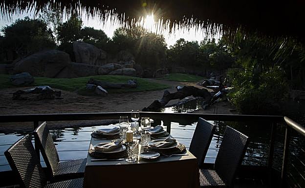 Se amplían hasta mitad de septiembre «Las Cenas en la Sabana» de BIOPARC Valencia