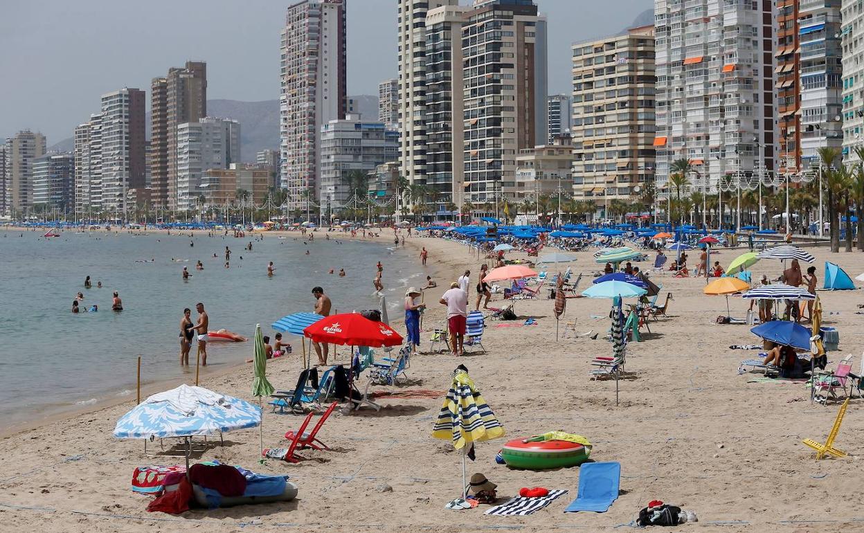 Imagen inusual de la playa de Benidorm durante este mes de agosto. 