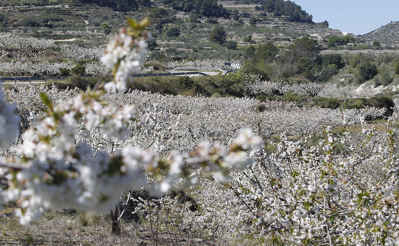 22.- Vall de la Gallinera (Alicante)