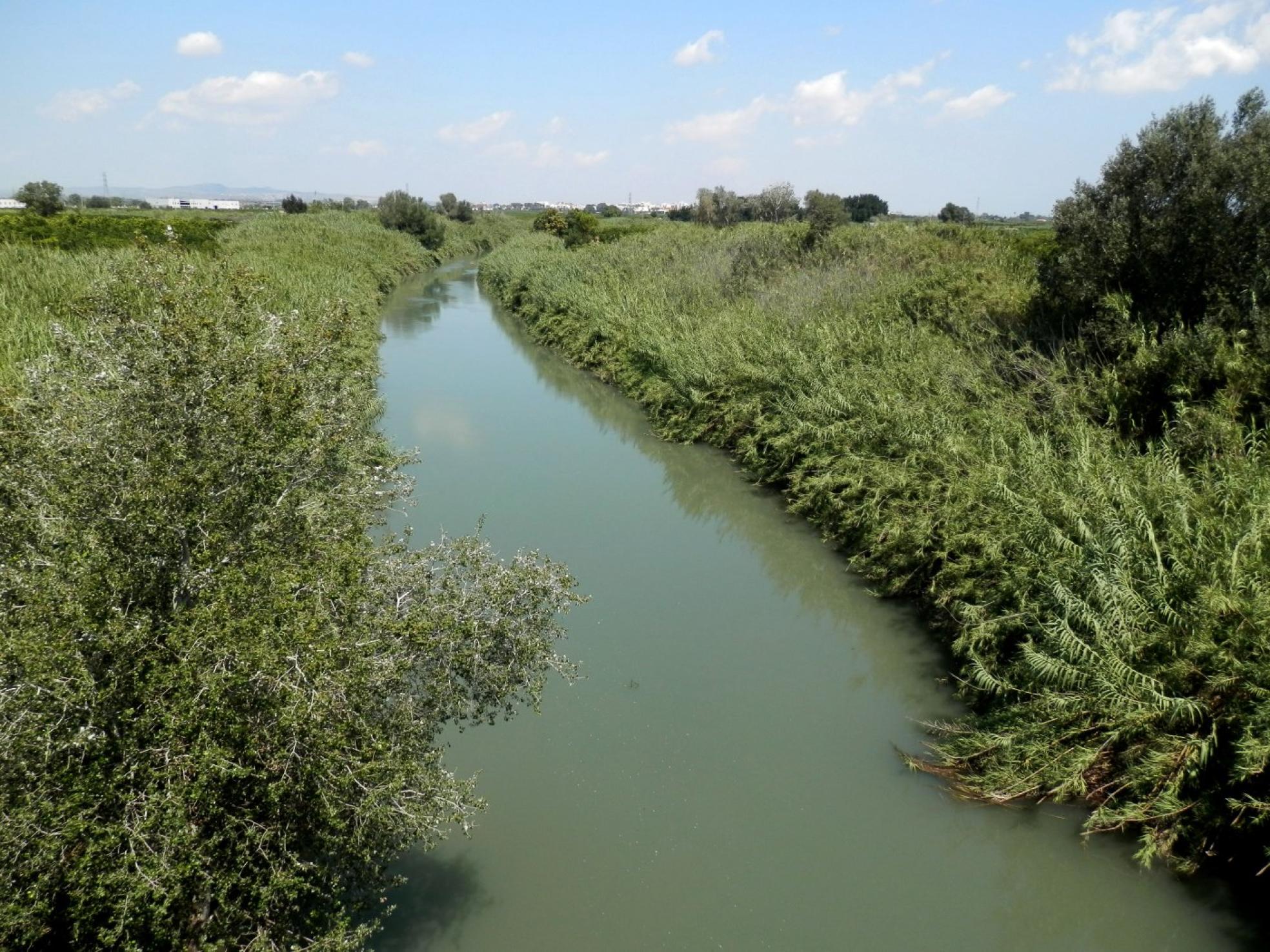 Las crecidas del río Jucar atemorizan a La Ribera en cada temporal ya que hay puntos donde se estrecha el cauce debido a las cañas.