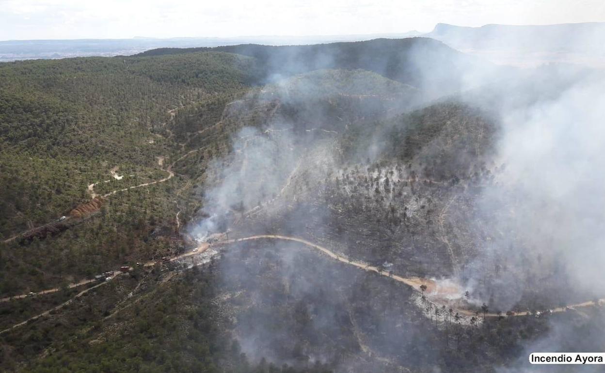 Bomberos dan por estabilizado el incendio forestal de Ayora