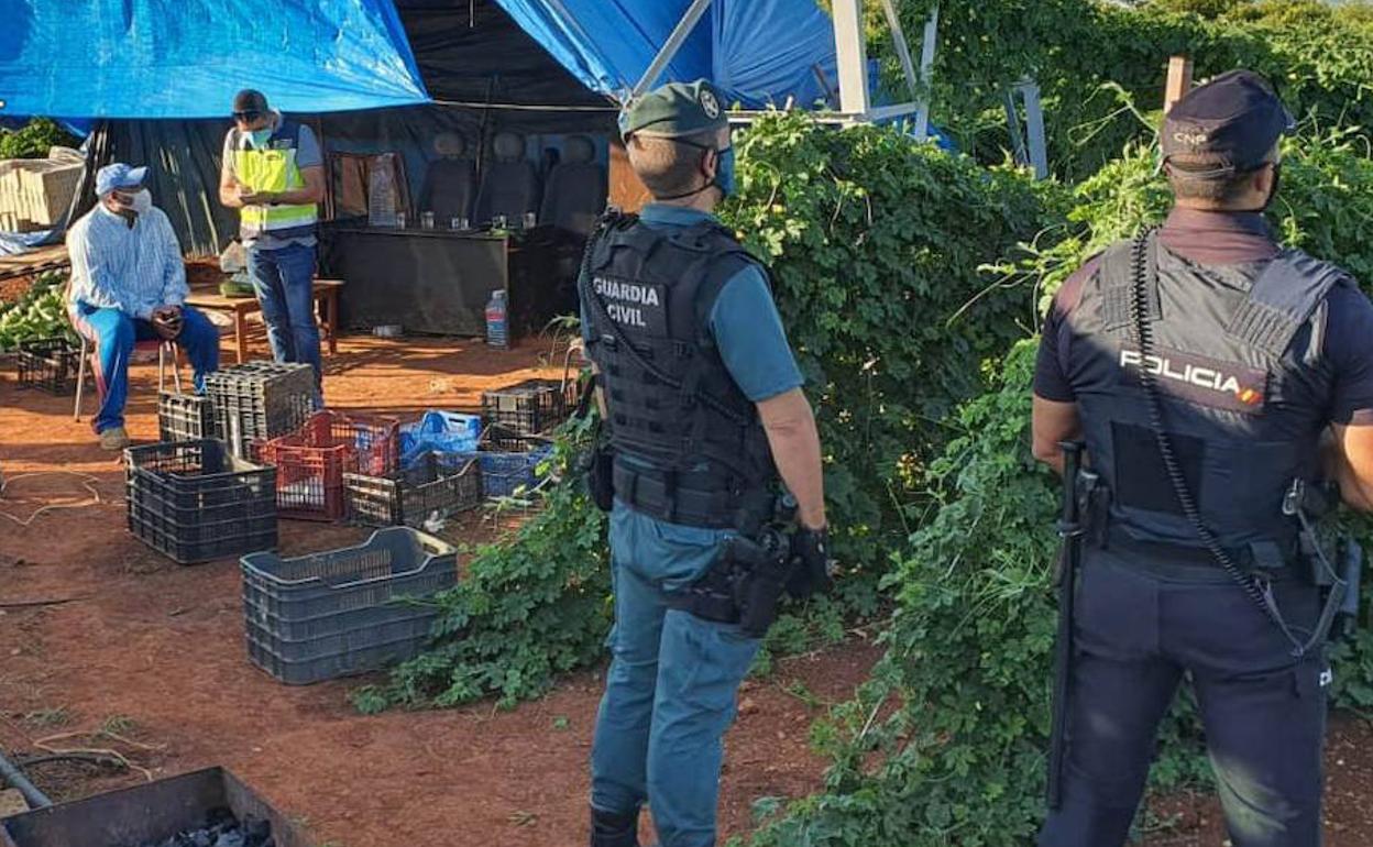 Cae en Almassora una red que explotaba a extranjeros en el campo
