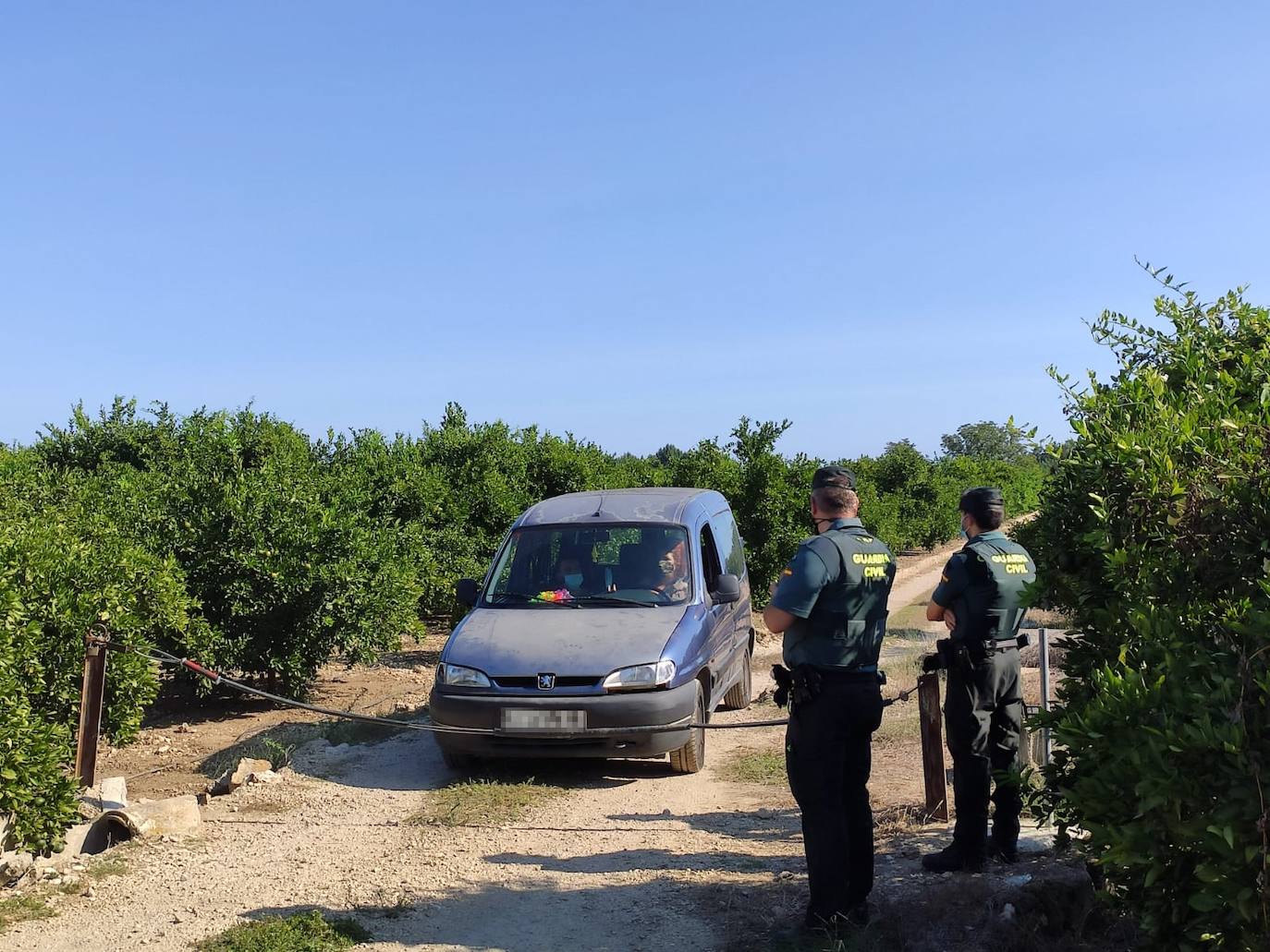 La fiesta, celebrada en una caseta de campo y que ha sido organizada a través de las redes sociales, ha llegado a reunir a más de 200 personas durante la madrugada