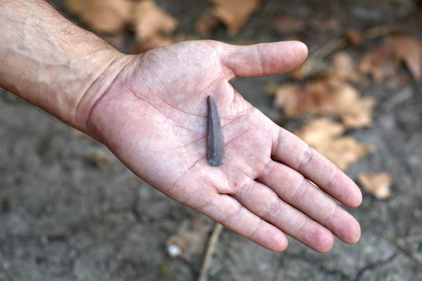 También han aparecido herramientas de piedra y hueso y diferentes cerámicas, algunas de ellas decoradas