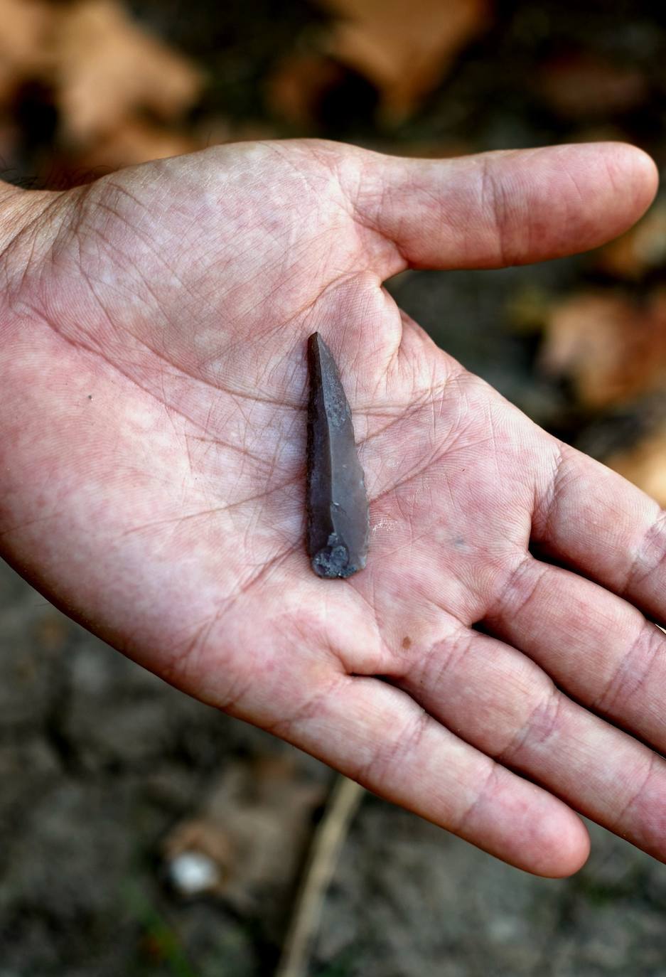 También han aparecido herramientas de piedra y hueso y diferentes cerámicas, algunas de ellas decoradas