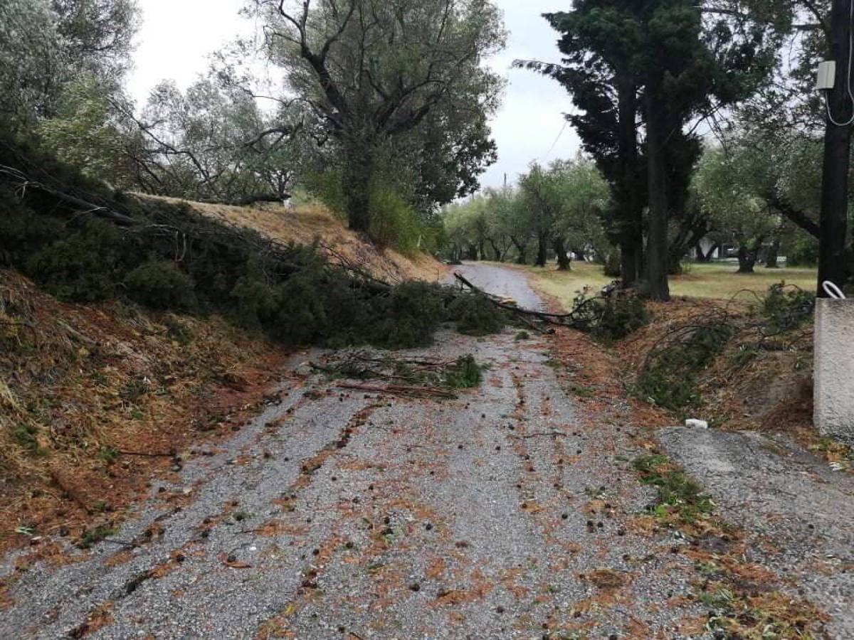 Un sorprendente ciclón tropical provoca graves destrozos en las islas griegas, con cortes de electricidad, carreteras cortadas y los colegios cerrados