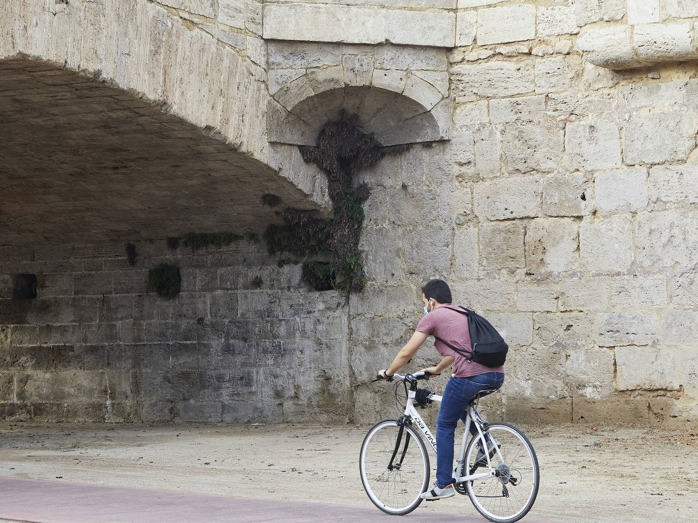 Jardín del Turia. Círculo de la Defensa del Patrimonio y vecinos del Tramo IX exigen un mantenimiento para evitar que los matorrales dañen los pretiles y pasarelas históricas 