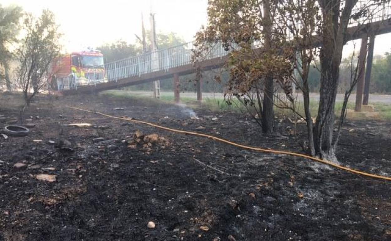 Incendio forestal en El Saler