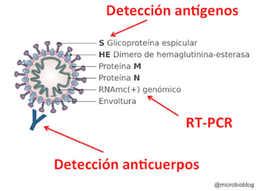 Qué detecta cada uno de los tres test. 