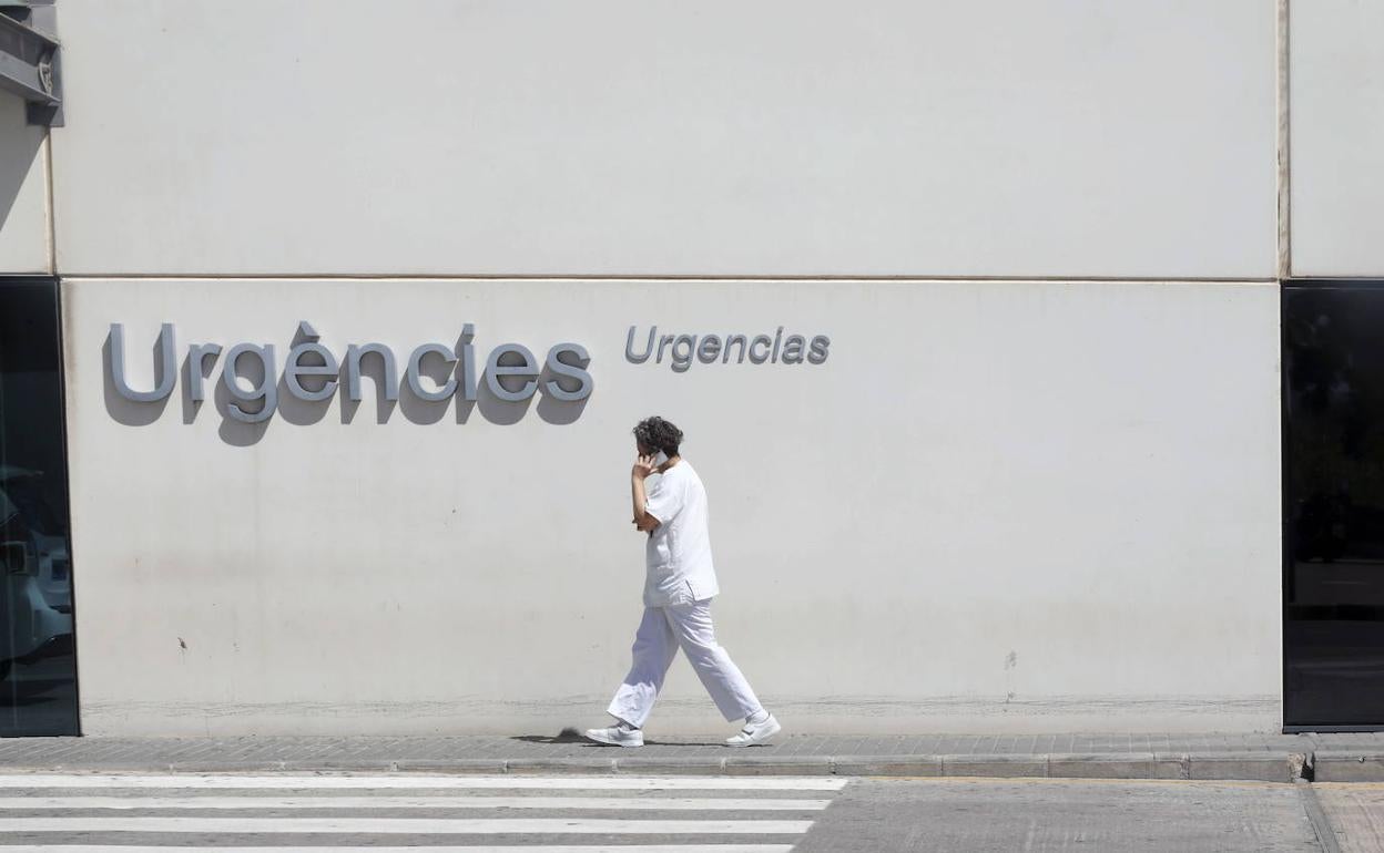 Una sanitaria, en la Fe de Valencia