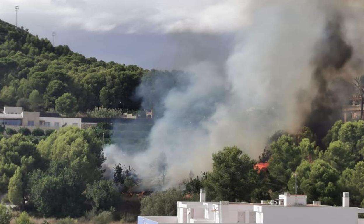 Zona afectada por las llamas en Oliva. 