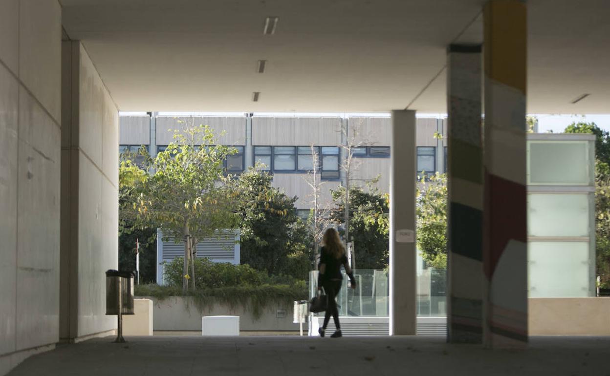 Imagen del campus de la UPV