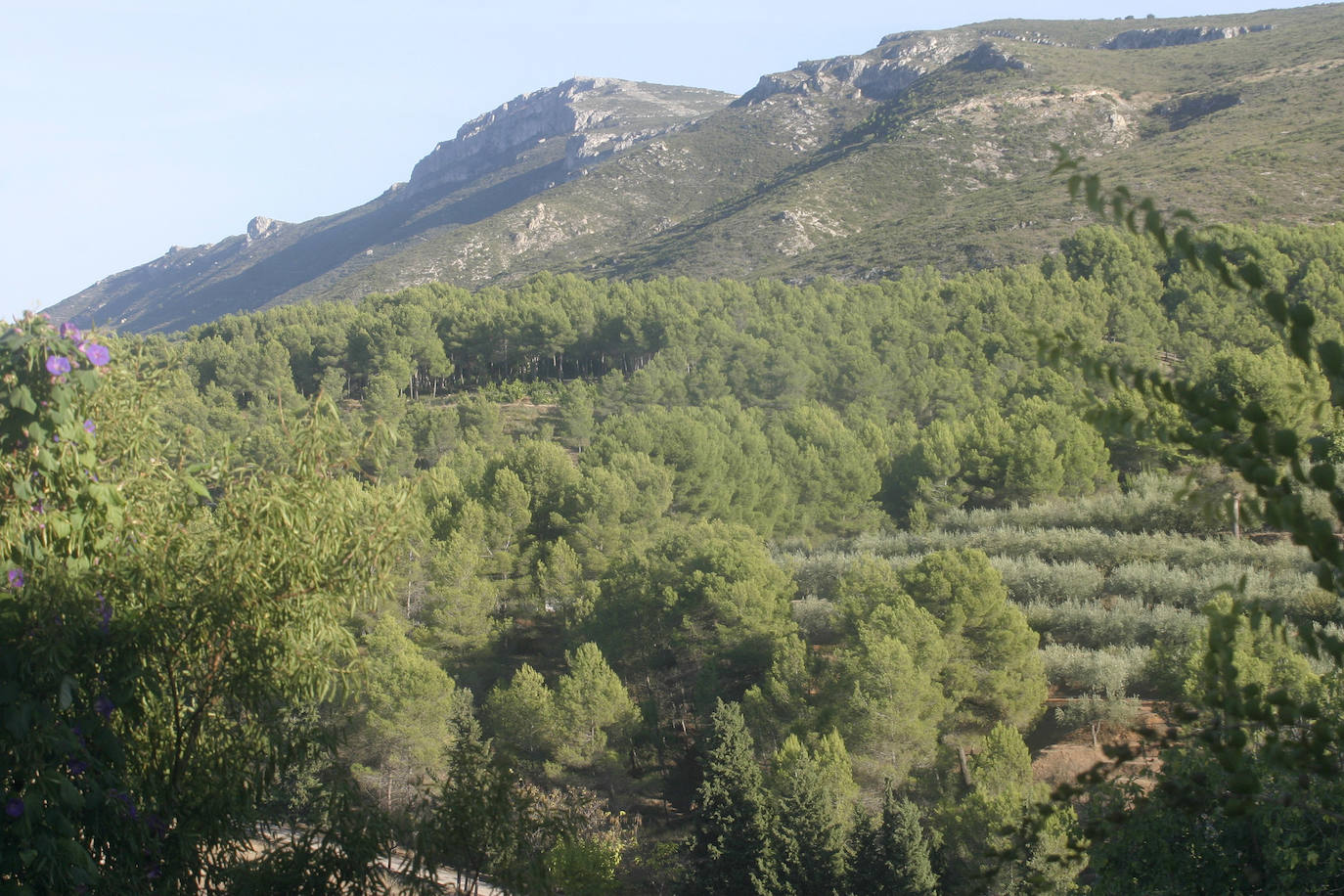 8. Sierra de Agullent (Agullent).