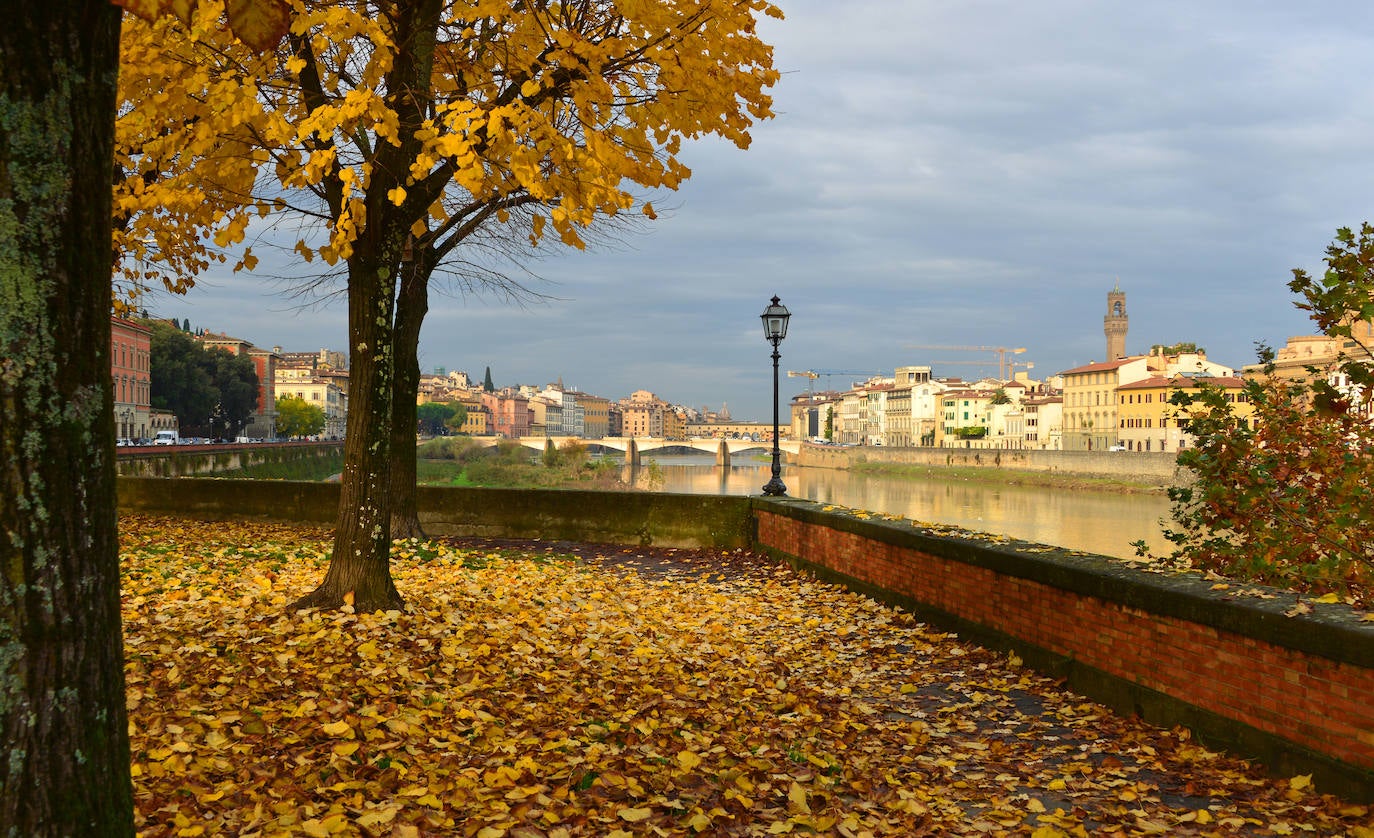 Florencia (Italia)