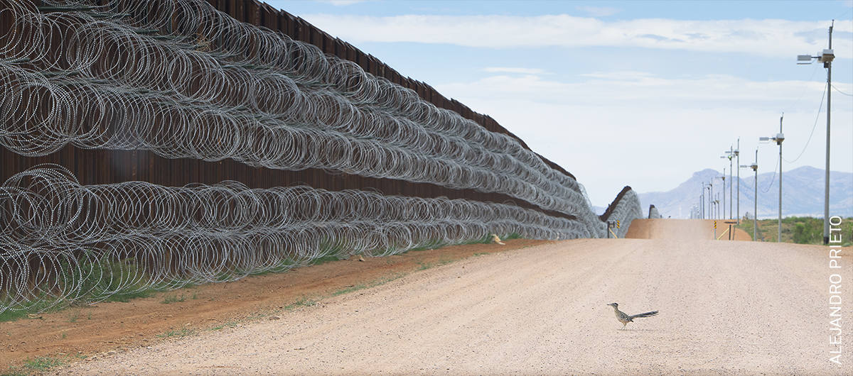 Fotos: Las imágenes más impactantes de la World Press Photo 20