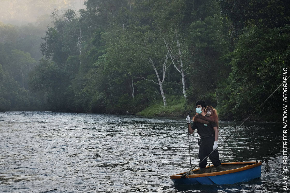 Fotos: Las imágenes más impactantes de la World Press Photo 20