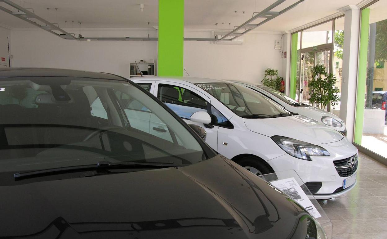 Coches exhibidos en un concesionario. 