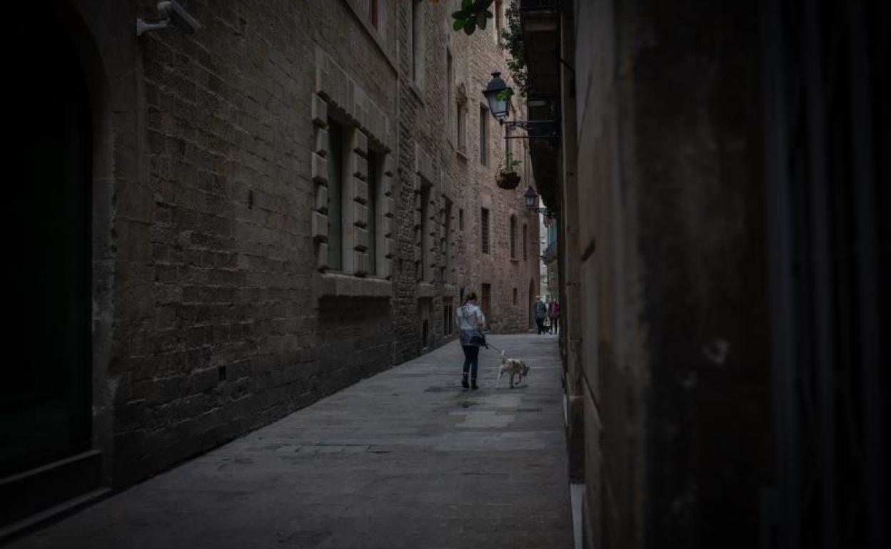 Una joven pasea a su perro al anochecer.