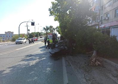 Imagen secundaria 1 - Imágenes del accidente de este mediodía en la avenida de Dénia de Alicante. 