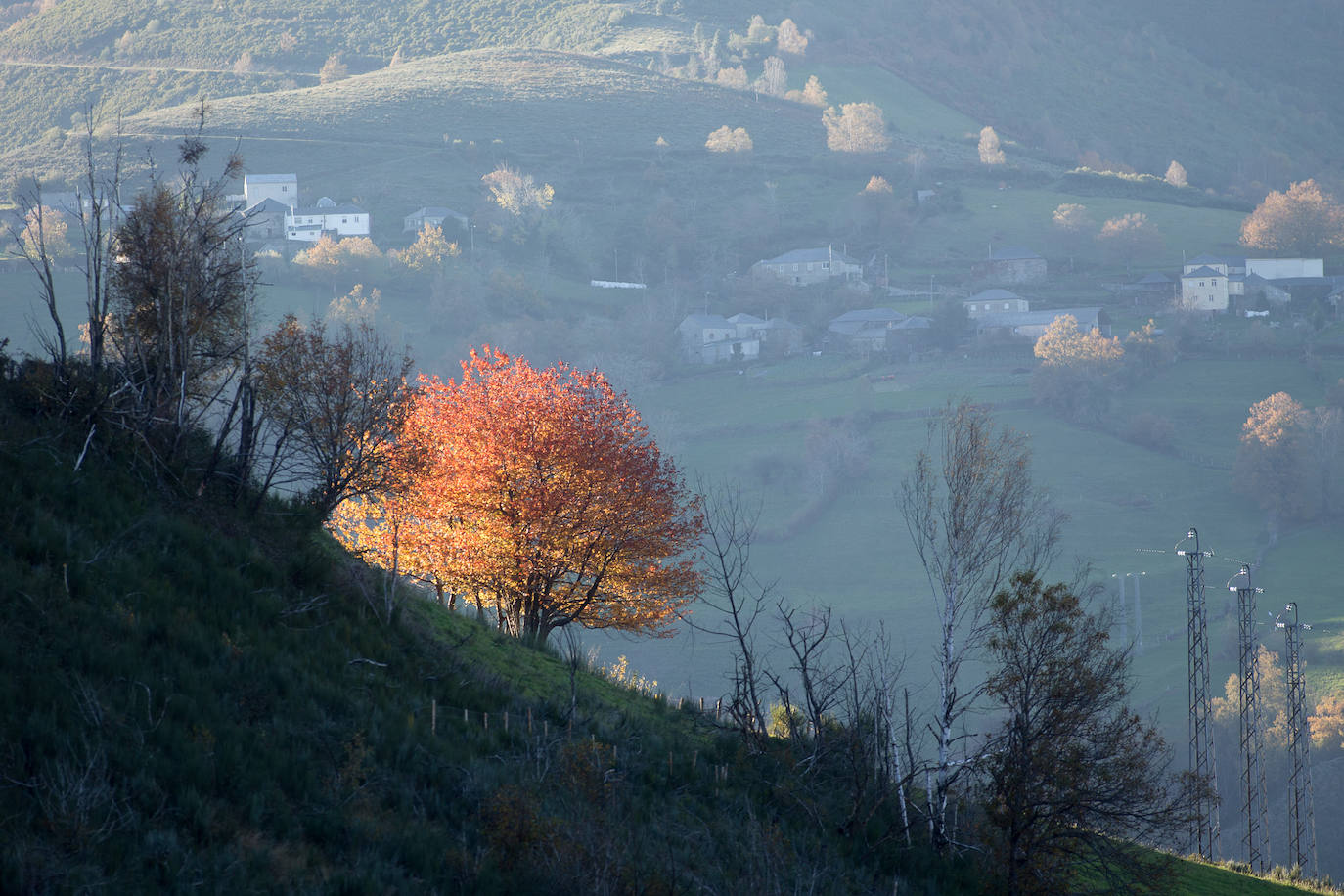 La sierra de Os Ancares es un paraje de visita obligatoria. Situada en el este de la provincia de Lugo, en la frontera con las comunidades vecinas de Castilla y León y El Principado de Asturias, se distribuye a lo largo de más de 50.000 hectáreas. Con una infinita red de senderos cruza profundos valles y asciende hasta cumbres de 2.000 metros de altura. En otoño el manto vegetal adquiere tonos rojizos. En invierno, esta zona permanece cubierta por la nieve, algo que cambia con la llegada de la primavera, cuando las aguas del deshielo fluyen desde las cumbres hasta las zonas bajas, formando numerosos riachuelos y pequeñas cascadas. 