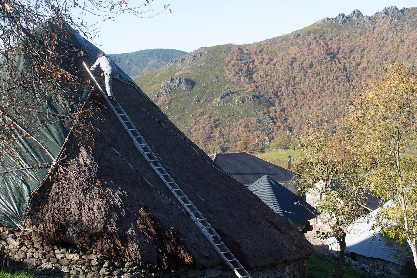 La sierra de Os Ancares es un paraje de visita obligatoria. Situada en el este de la provincia de Lugo, en la frontera con las comunidades vecinas de Castilla y León y El Principado de Asturias, se distribuye a lo largo de más de 50.000 hectáreas. Con una infinita red de senderos cruza profundos valles y asciende hasta cumbres de 2.000 metros de altura. En otoño el manto vegetal adquiere tonos rojizos. En invierno, esta zona permanece cubierta por la nieve, algo que cambia con la llegada de la primavera, cuando las aguas del deshielo fluyen desde las cumbres hasta las zonas bajas, formando numerosos riachuelos y pequeñas cascadas. 