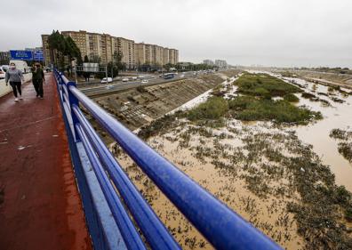 Imagen secundaria 1 - Lluvia en Valencia | Lagos bajo el bosque y viales cortados en el Jardín del Túria de Valencia