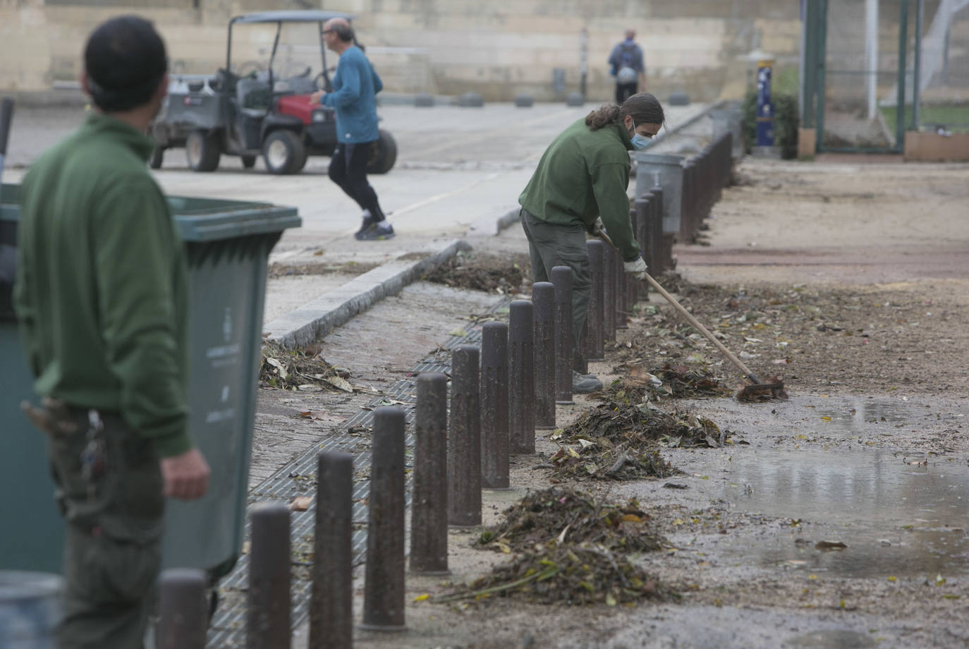 Fotos: Daños tras las lluvias en el cauce del río Turia