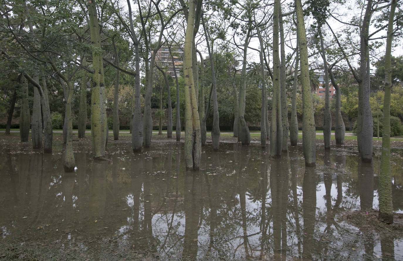 Fotos: Daños tras las lluvias en el cauce del río Turia