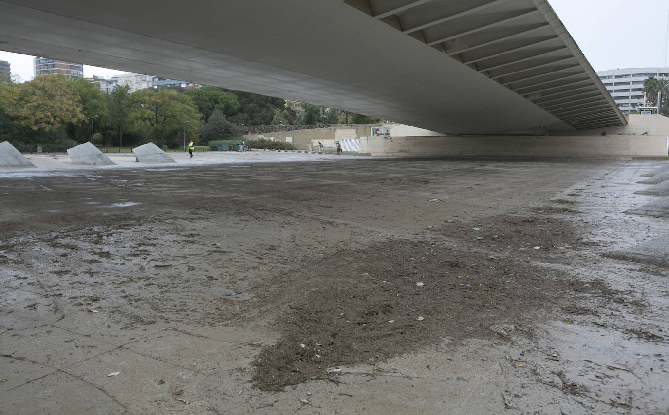 Fotos: Daños tras las lluvias en el cauce del río Turia