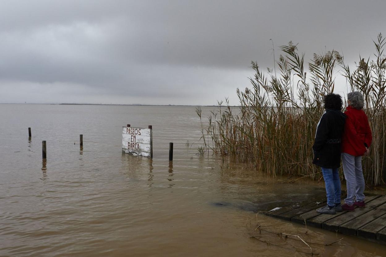 Embarcadero.
Pantalán en la gola del Pujol
cubierto de agua por la subida
del nivel en la Albufera.
iván arlandis