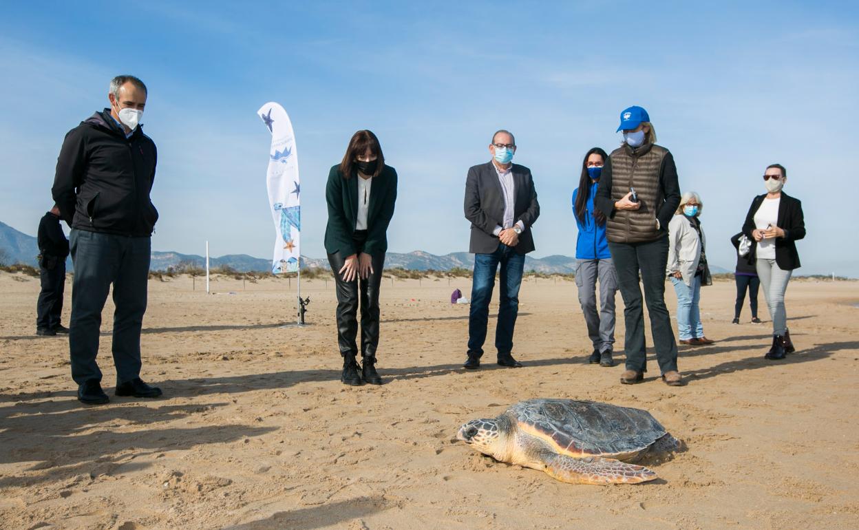 Momento en el que la tortuga regresa al mar. 