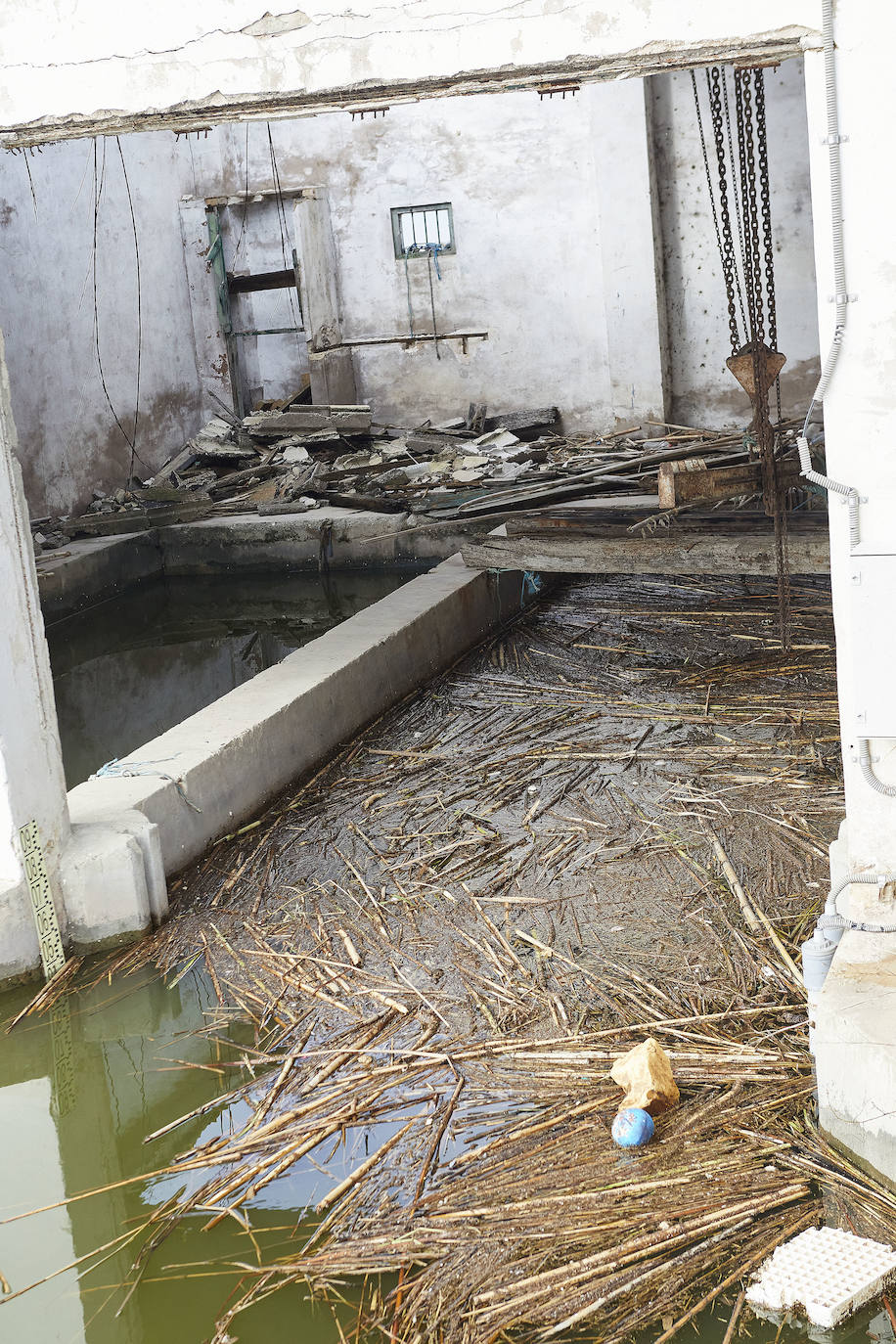 La Comunidad de El Palmar exige la retirada de residuos en el lago y alerta de mortandad en varios puestos de peces por la falta de oxígeno