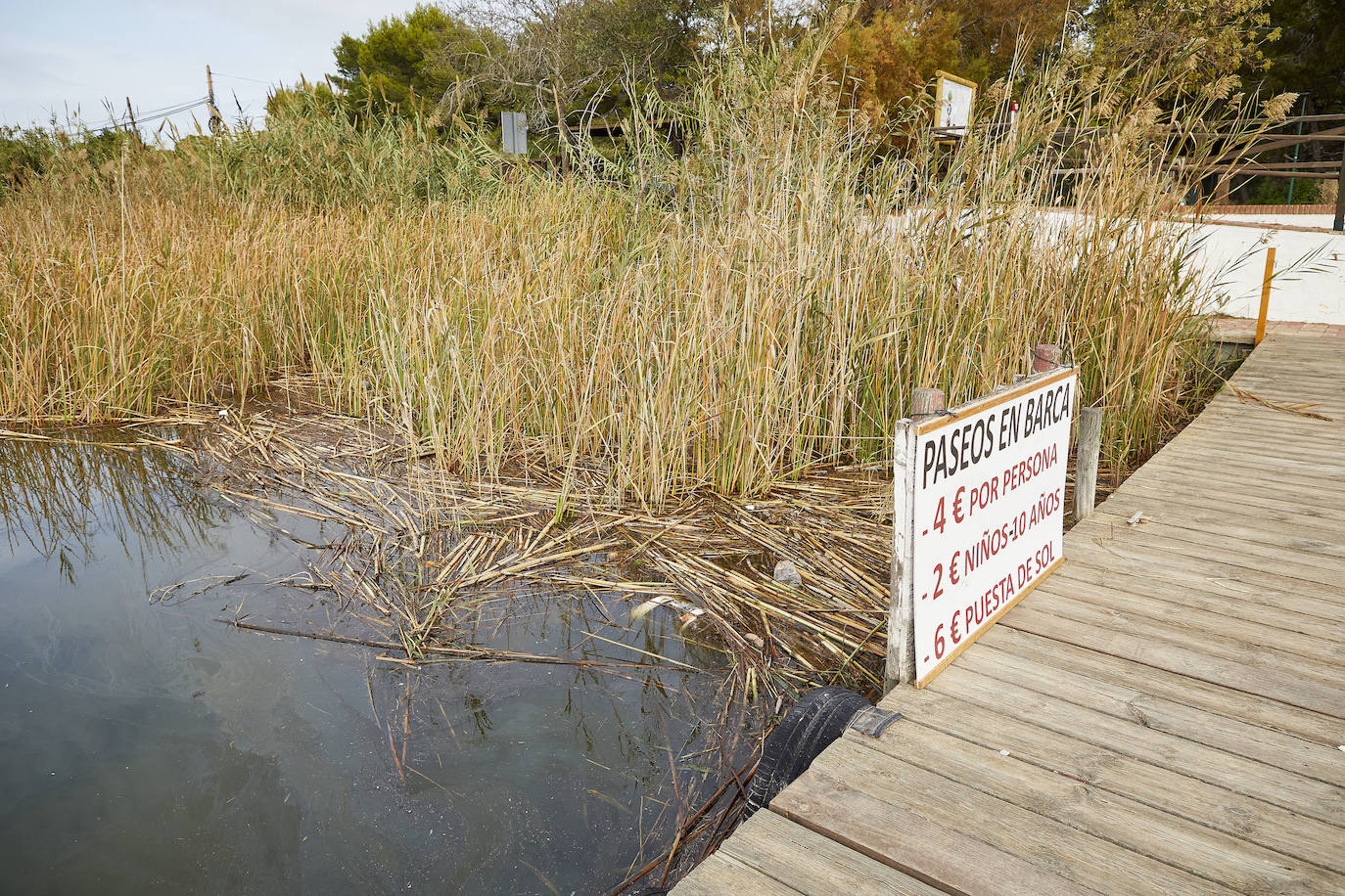 La Comunidad de El Palmar exige la retirada de residuos en el lago y alerta de mortandad en varios puestos de peces por la falta de oxígeno