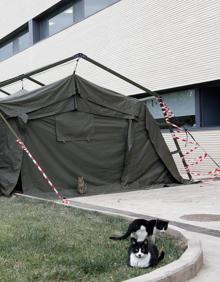 Imagen secundaria 2 - Carpas en el exterior del Hospital de Lliria.