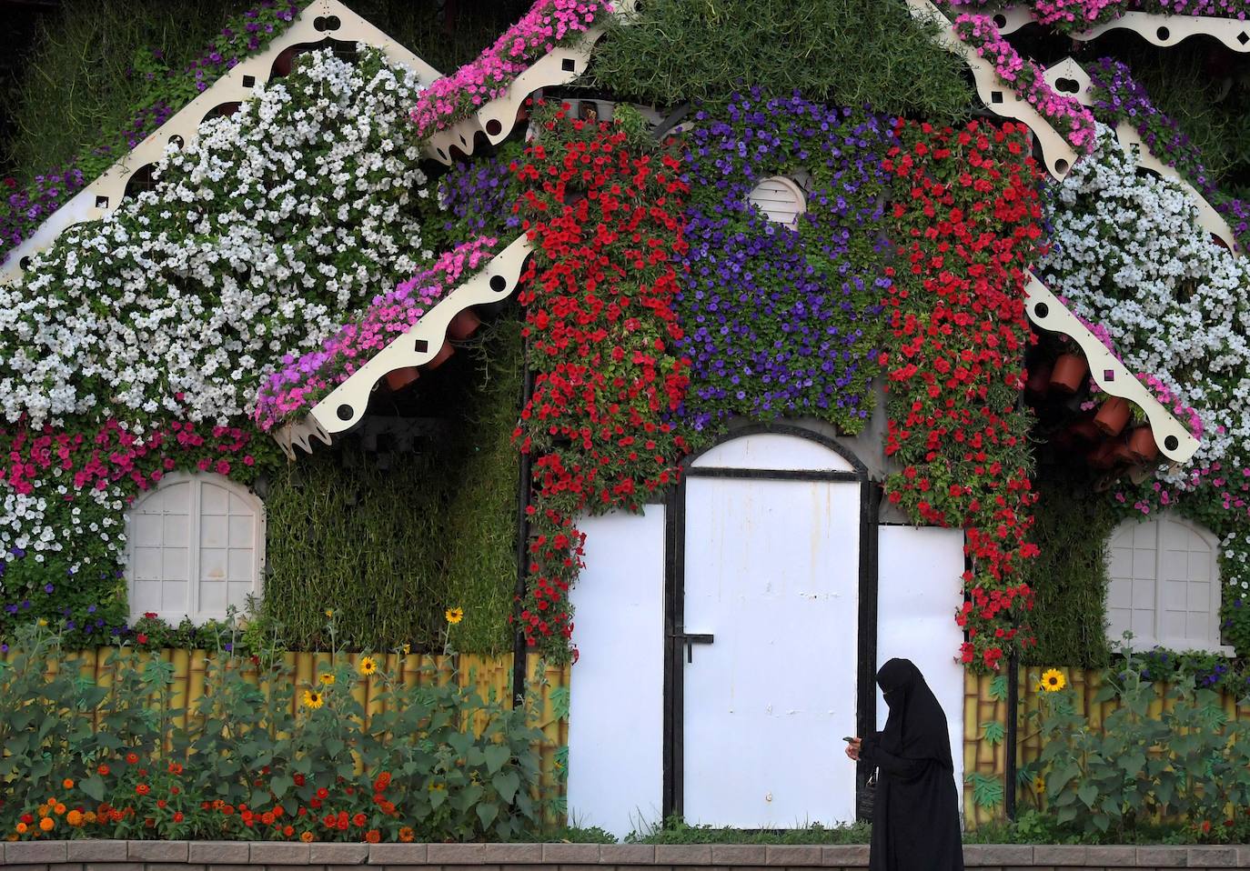 Flores gigantes y arreglos de plantas, algunos con personajes populares de Disney como Mickey Mouse y el pato Donald, dan la bienvenida a los visitantes al Dubai Miracle Garden, el jardín de flores más grande del mundo.