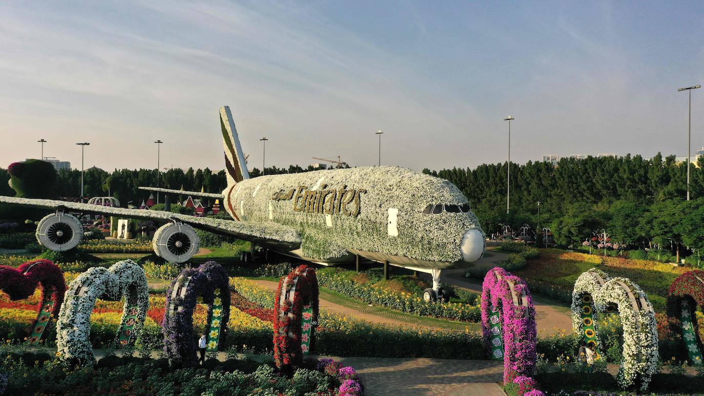 Flores gigantes y arreglos de plantas, algunos con personajes populares de Disney como Mickey Mouse y el pato Donald, dan la bienvenida a los visitantes al Dubai Miracle Garden, el jardín de flores más grande del mundo.