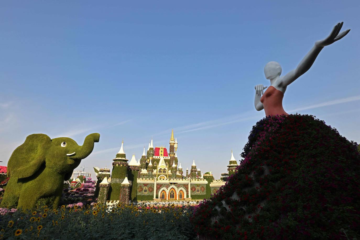 Flores gigantes y arreglos de plantas, algunos con personajes populares de Disney como Mickey Mouse y el pato Donald, dan la bienvenida a los visitantes al Dubai Miracle Garden, el jardín de flores más grande del mundo.