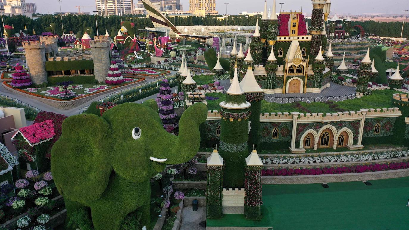 Flores gigantes y arreglos de plantas, algunos con personajes populares de Disney como Mickey Mouse y el pato Donald, dan la bienvenida a los visitantes al Dubai Miracle Garden, el jardín de flores más grande del mundo.