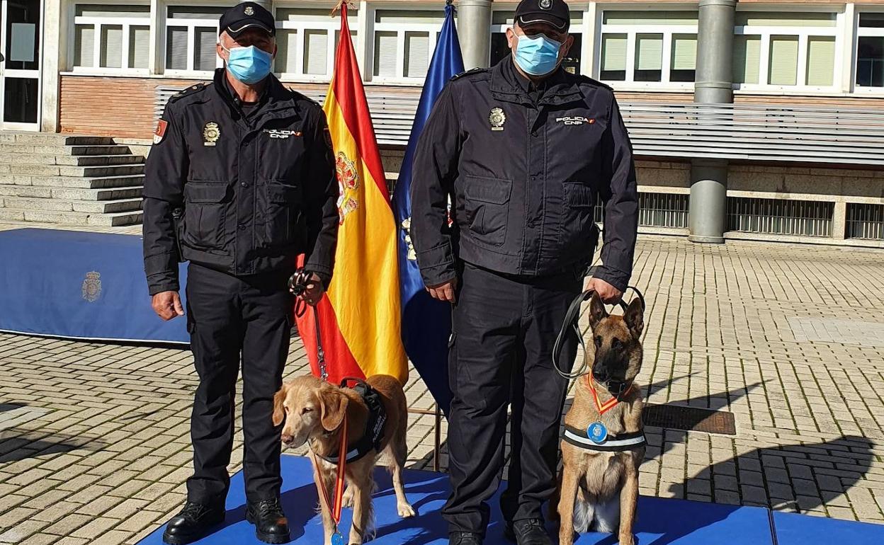 Ginger y Yuko, los canes de la Policía Nacional destinados en Alicante que han sido condecorados