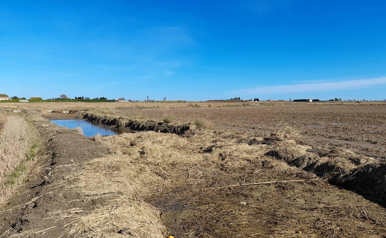 La paja cubre una acequia en el término de Sollana. 