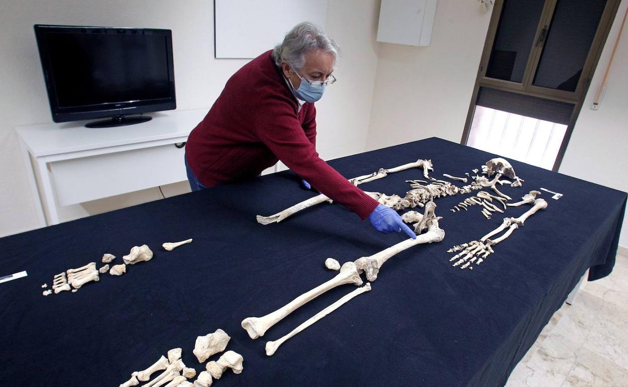 El esqueleto hallado en el castillo de Guardamar del Segura había recibido más de 25 cuchilladas
