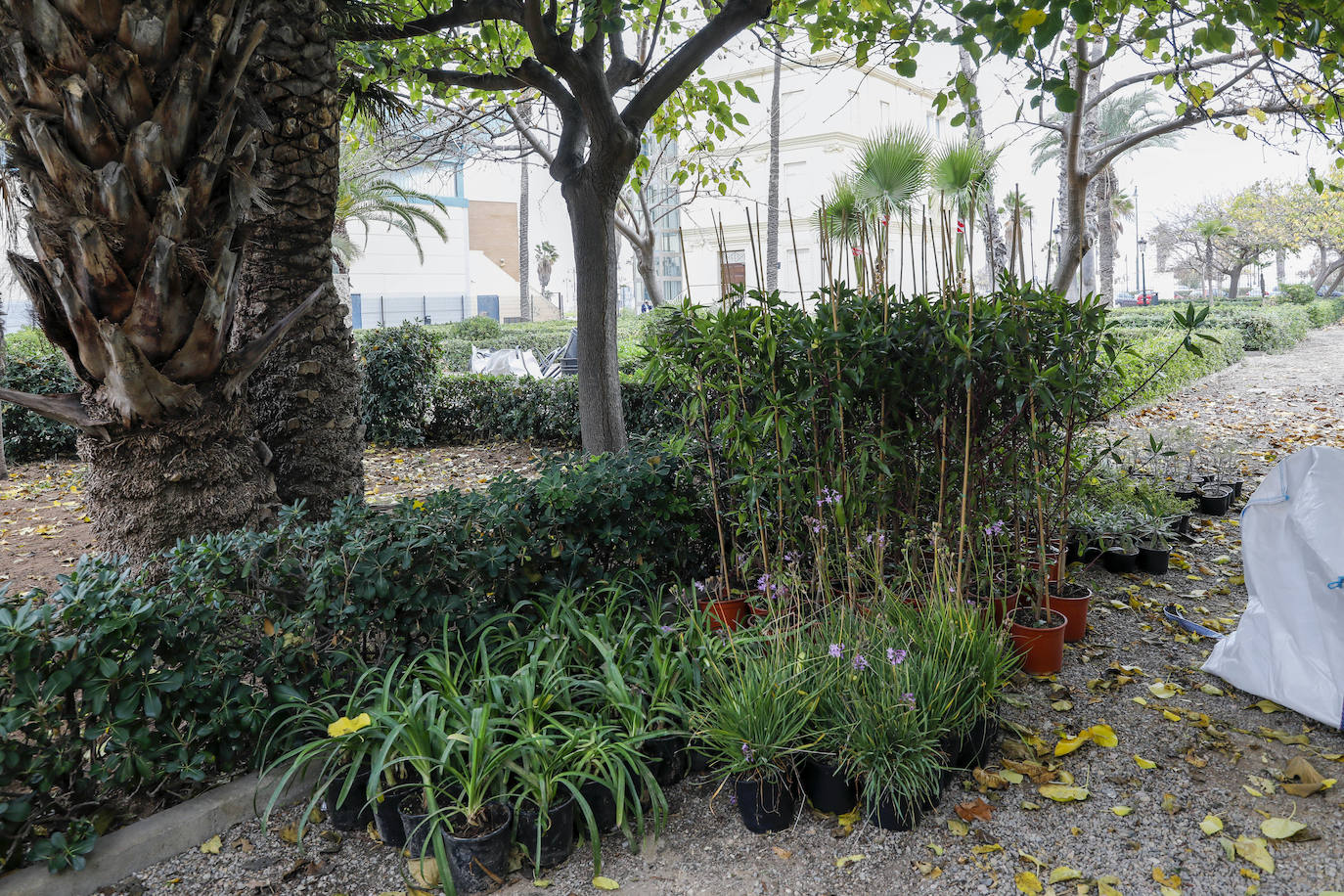 La remodelación de la primera planta con el nuevo diseño expositivo estará lista el próximo mes