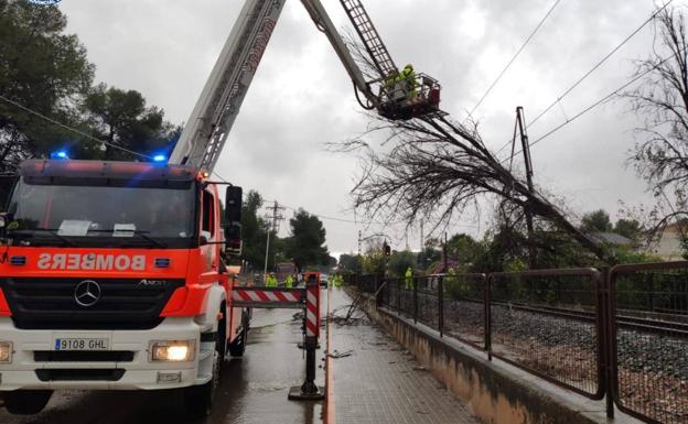 La caída de un árbol en la Línea 2 de metro obliga a hacer el trayecto entre Paterna y l'Eliana en autobús