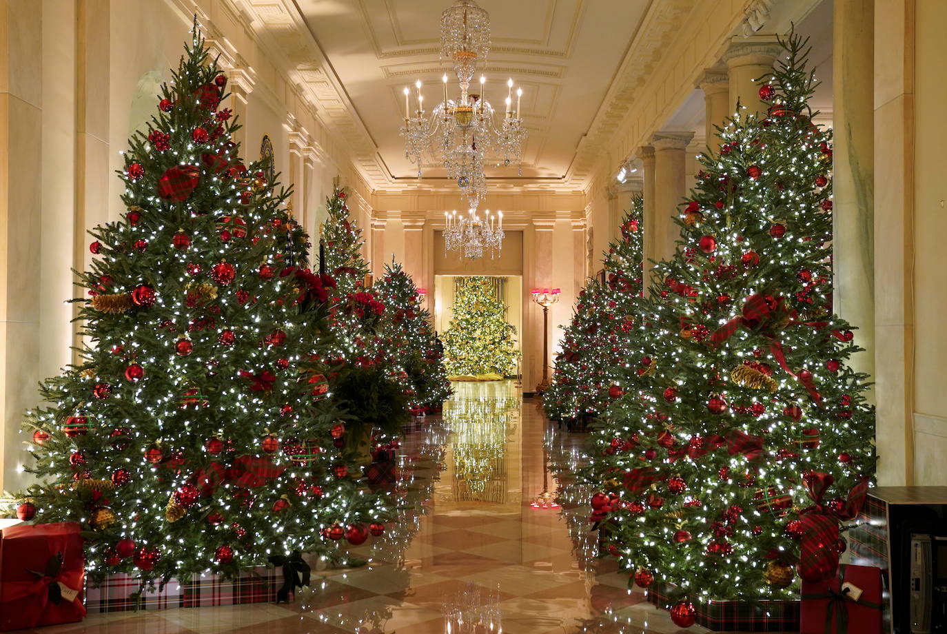 Estas navidades serán las últimas de Melania Trump en la Casa Blanca y no ha querido faltar a la tradición de recibir al abeto más alto que decorará su aún hogar, una costumbre que se lleva haciendo desde 1966. Un carro de caballos ha acercado al abeto agraciado, que mide 5,6 metros, hasta la entrada de la residencia presidencial, que ya ha presentado su decoración navideña. 